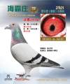 图片暂时未上传