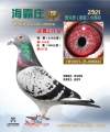 图片暂时未上传