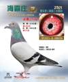 图片暂时未上传
