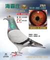 图片暂时未上传