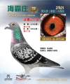 图片暂时未上传