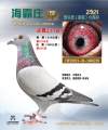 图片暂时未上传