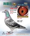 图片暂时未上传