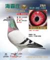 图片暂时未上传