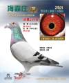 图片暂时未上传