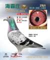 图片暂时未上传