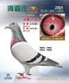 图片暂时未上传