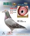 图片暂时未上传