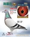 图片暂时未上传