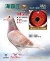 图片暂时未上传