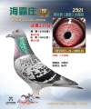 图片暂时未上传