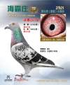图片暂时未上传