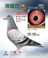 图片暂时未上传