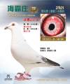 图片暂时未上传