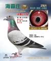 图片暂时未上传
