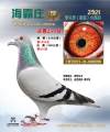 图片暂时未上传