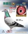图片暂时未上传