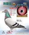 图片暂时未上传
