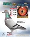 图片暂时未上传