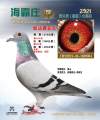 图片暂时未上传