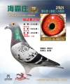 图片暂时未上传