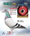 图片暂时未上传