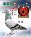 图片暂时未上传