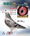 图片暂时未上传