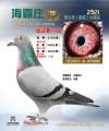 图片暂时未上传