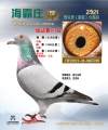图片暂时未上传
