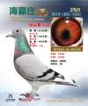 图片暂时未上传
