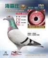 图片暂时未上传