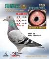 图片暂时未上传