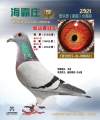 图片暂时未上传
