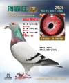 图片暂时未上传