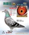 图片暂时未上传