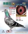 图片暂时未上传