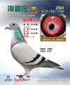 图片暂时未上传