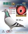 图片暂时未上传