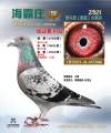 图片暂时未上传