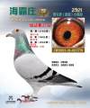 图片暂时未上传