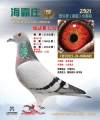 图片暂时未上传