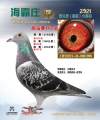 图片暂时未上传