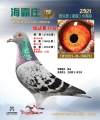 图片暂时未上传