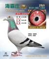 图片暂时未上传