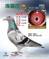 图片暂时未上传