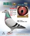 图片暂时未上传