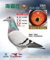 图片暂时未上传
