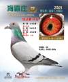 图片暂时未上传