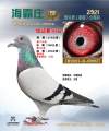 图片暂时未上传